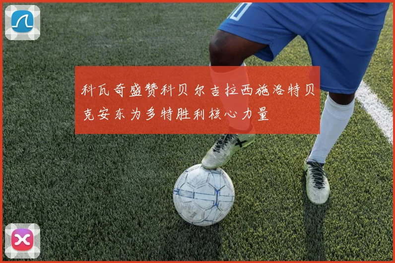 科瓦奇盛赞科贝尔吉拉西施洛特贝克安东为多特胜利核心力量