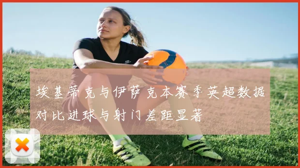 埃基蒂克与伊萨克本赛季英超数据对比进球与射门差距显著