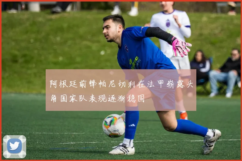 阿根廷前锋帕尼切利在法甲崭露头角国家队表现逐渐稳固